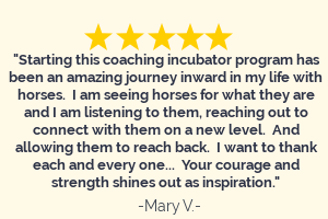 Mary V